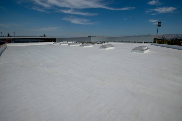 Best Green or Eco-Friendly Roofing Solutions  in Bishop, TX